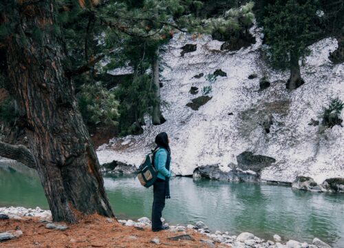 6 Nights And 7 Days Srinagar To Srinagar